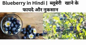 Blueberry in Hindi | ब्लूबेरी खाने के फायदे और नुकसान
