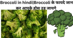 Broccoli in hindi Broccoli के फायदे जान कर आपके होस उड़ जायगे