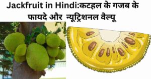 Jackfruit in Hindi:कटहल के गजब के फायदे और न्यूट्रिशनल वैल्यू