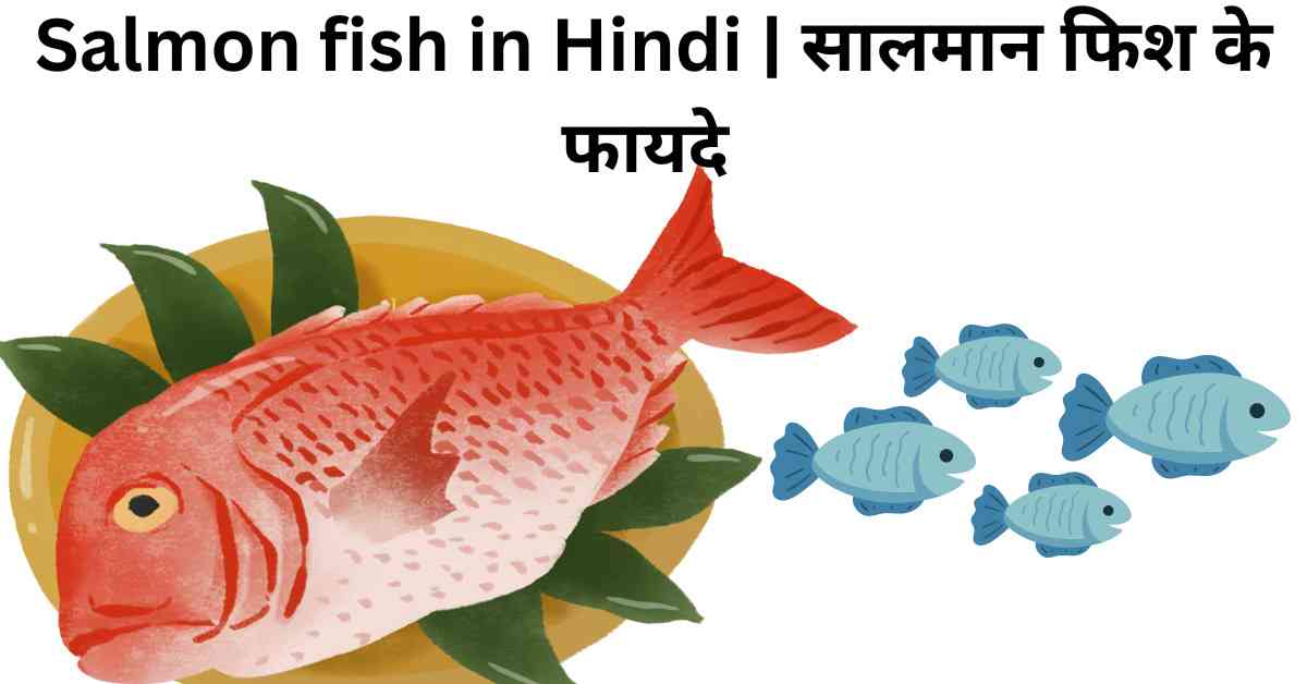 Salmon fish in Hindi | सालमान फिश के फायदे
