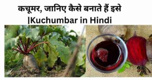 कचूमर, जानिए कैसे बनाते हैं इसे |Kuchumbar in Hindi