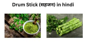 Drum Stick (सहजन) in hindi